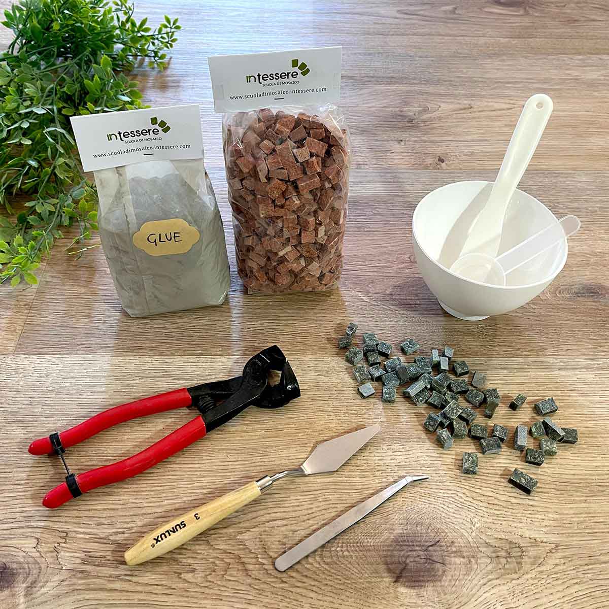 Kit mosaico Coppa con Pappagalli (tecnica indiretta)