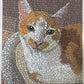 foto del tuo gatto a mosaico